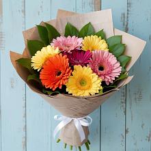 Букет цветов из:  Герберы #REPLACE_PRED# Калистово